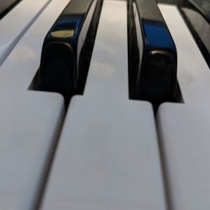 Meet your Posher, Paige